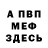 COCAIN Эквадор AnaLu Kitten