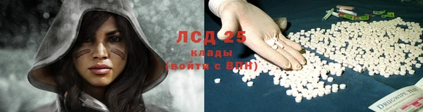 гидропоника Лагань