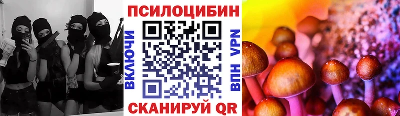 Галлюциногенные грибы мицелий  кракен   Петухово 